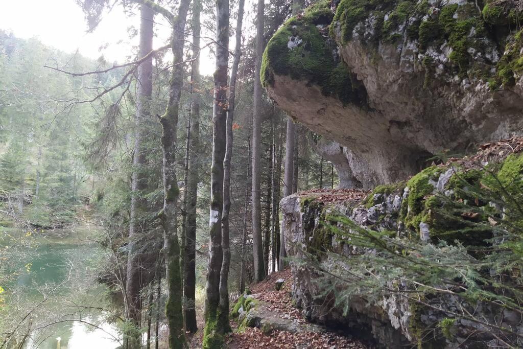 Gite Du Fourperet-Parc Naturel Du Haut-Jura Longevilles-Mont-dʼOr Buitenkant foto